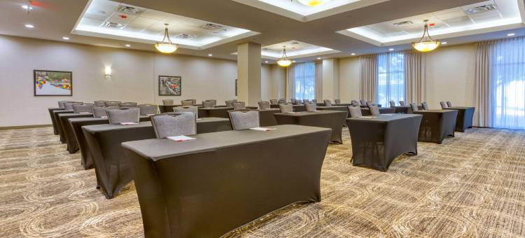 圣安东尼奥-拉坎特拉德鲁里套房酒店(Drury Inn & Suites San Antonio Near la Cantera)图片