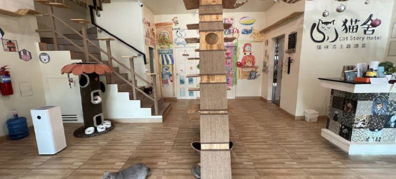 猫的故事酒店(Cat Story Hotel Phuket)图片