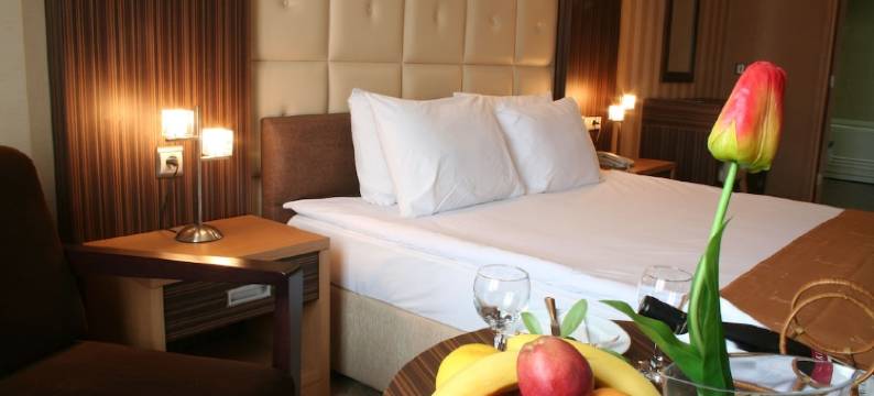 瑟美利阿达那酒店(Surmeli Adana Hotel)图片