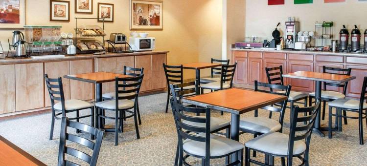 索科罗舒适套房酒店(Comfort Inn & Suites)图片