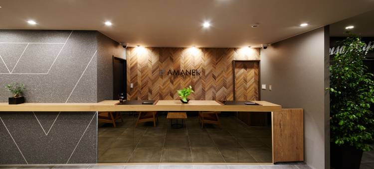 浅草站前HOTEL AMANEK(HOTEL AMANEK Asakusa Ekimae)图片