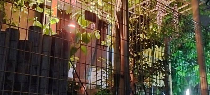 每天限一组，出租别墅Saya(Rental Villa Saya)图片