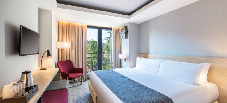 库塔伊西市中心贝斯特韦斯特酒店(Best Western Kutaisi City Center)图片