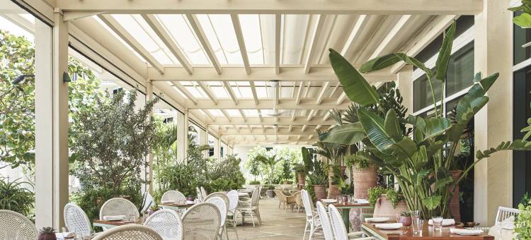 棕榈滩四季酒店(Four Seasons Resort Palm Beach)图片