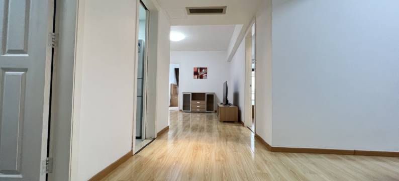 房东小东南公寓(浦庭路分店)图片