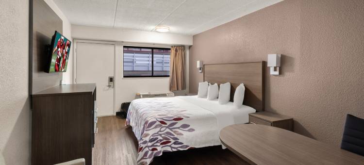 宾厄姆顿-约翰逊城红屋顶酒店(Red Roof Inn Binghamton - Johnson City)图片