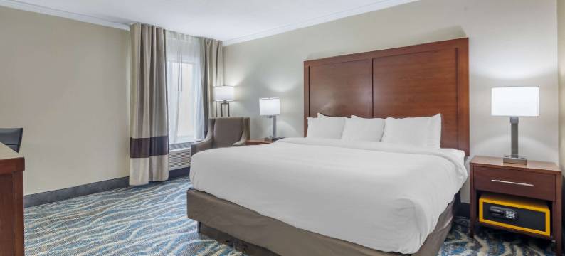 阿什维尔东-蓝岭山行车通道舒适酒店(Comfort Inn Asheville East-Blue Ridge Pkwy Access)图片