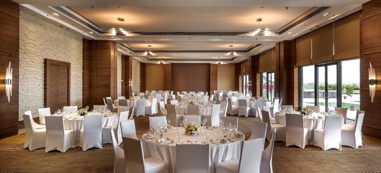 赖布尔Hyatt酒店(Hyatt Raipur)图片