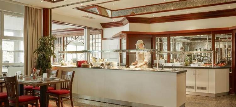 戈斯拉PLAZA INN酒店(PLAZA INN Goslar)图片