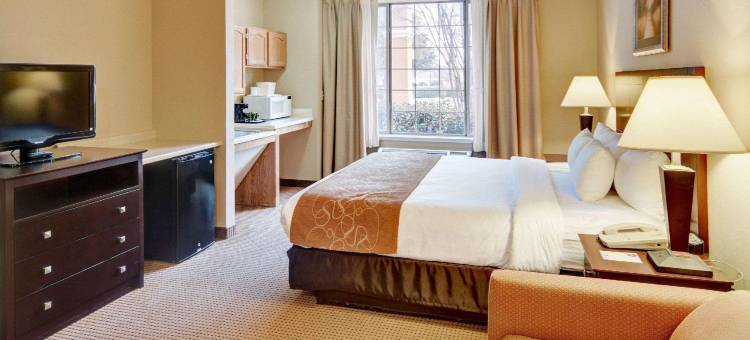 罗阿诺克-北沃斯堡舒适全套房酒店(Comfort Suites Roanoke - Fort Worth North)图片