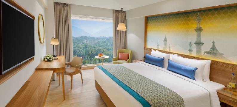 朱纳格特贝尔维尤萨诺瓦精选酒店(Bellevue Sarovar Premiere Junagadh)图片