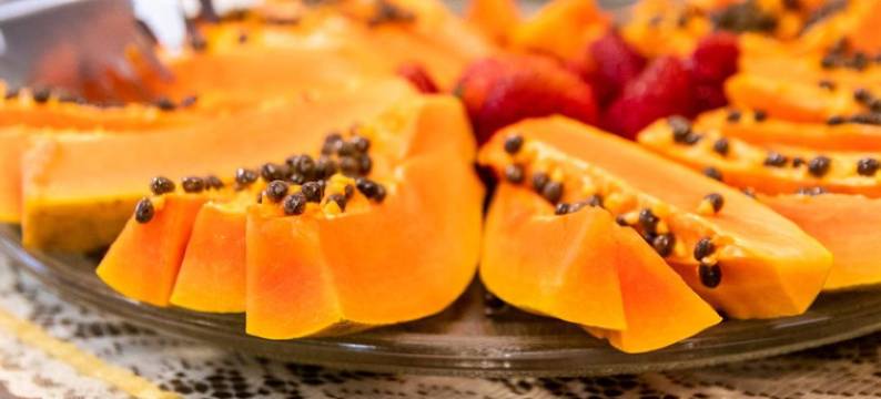 阿莱格雷蒂酒店(Hotel Alegrete)图片