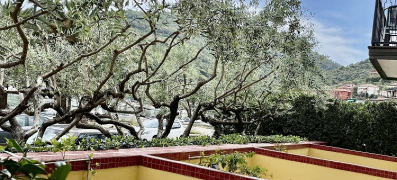 德拉拜亚酒店(Hotel Della Baia)图片