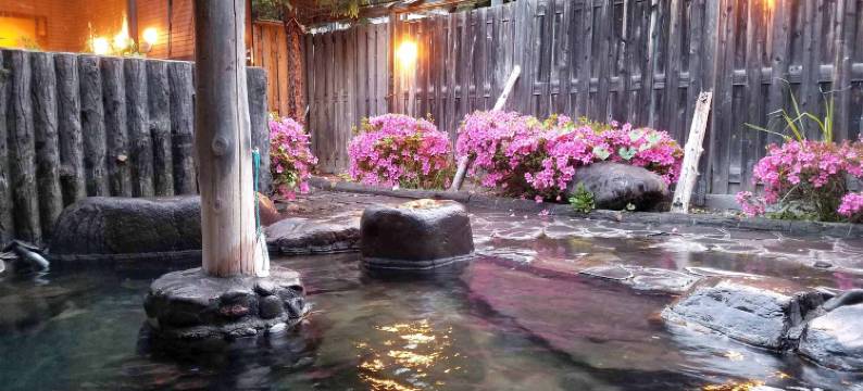 莺宿温泉莺酒店(Hotel Uguisu)图片