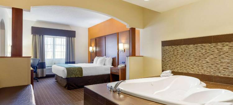 舒适套房酒店-史蒂文斯维尔圣约瑟夫(Comfort Suites Stevensville - St Joseph)图片