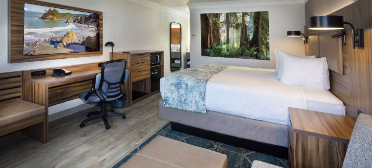 洪堡湾贝斯特韦斯特优质酒店(Best Western Plus Humboldt Bay Inn)图片