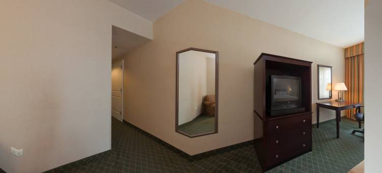 Holiday Inn 雷诺萨，工业PONIENTE(Holiday Inn Reynosa-Industrial Poniente)图片