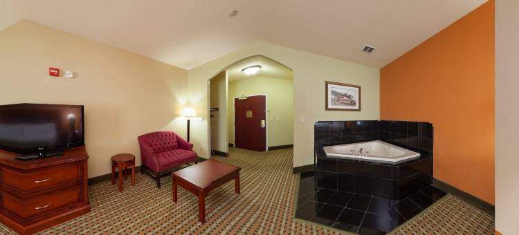 智选假日套房酒店阿马里洛东 by IHG(Holiday Inn Express & Suites Amarillo East)图片