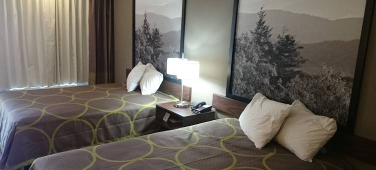 阿什维尔机场温德姆速8酒店(Super 8 by Wyndham Asheville Airport)图片
