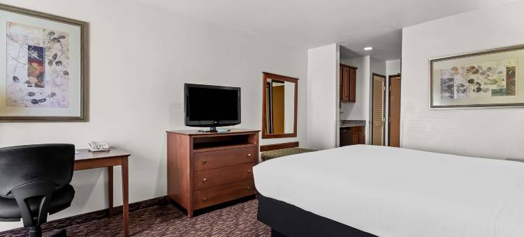 索科罗贝斯特韦斯特套房酒店(Best Western Socorro Hotel  Suites)图片