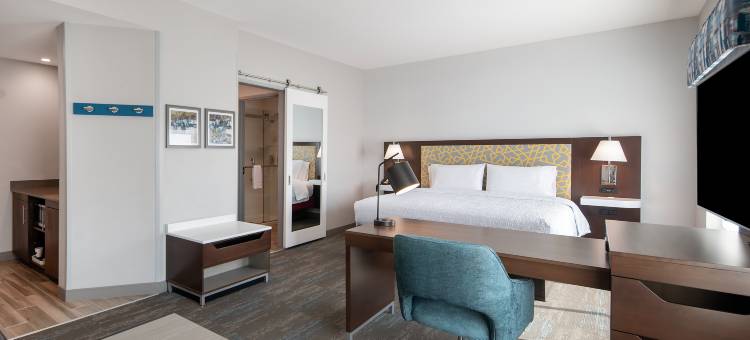 达拉斯法默斯布兰奇欢朋套房酒店(Hampton Inn & Suites by Hilton Farmers Branch Dallas)图片