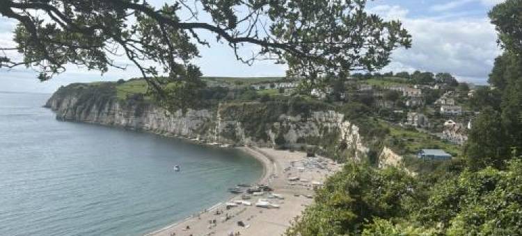 Anchor Inn by Greene King Inns图片