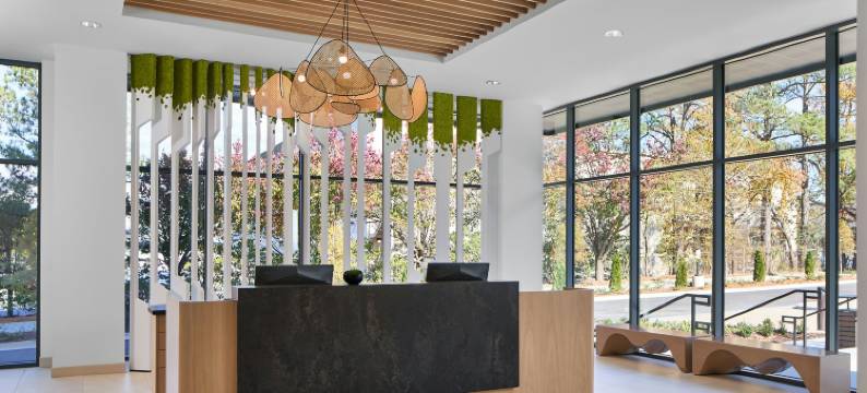 亚特兰大周边中心Element酒店(Element Atlanta Perimeter Center)图片