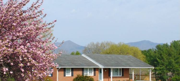 贝德福德，弗吉尼亚阳光之家蓝岭公园大道私人主层度假屋(Private MAIN LEVEL of this Sunny House Near the Blue Ridge Parkway, Bedford, VA)图片