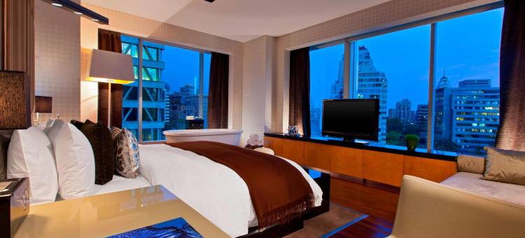 W圣地亚哥酒店(W Santiago)图片