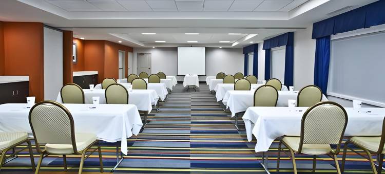 安阿伯西智选假日套房酒店(Holiday Inn Express & Suites Ann Arbor West)图片