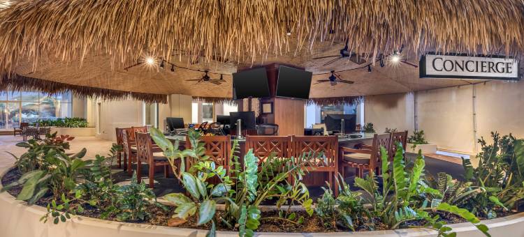 希尔顿假日俱乐部卡纳帕利海滩茂宜岛(Hilton Vacation Club Ka'Anapali Beach Maui)图片