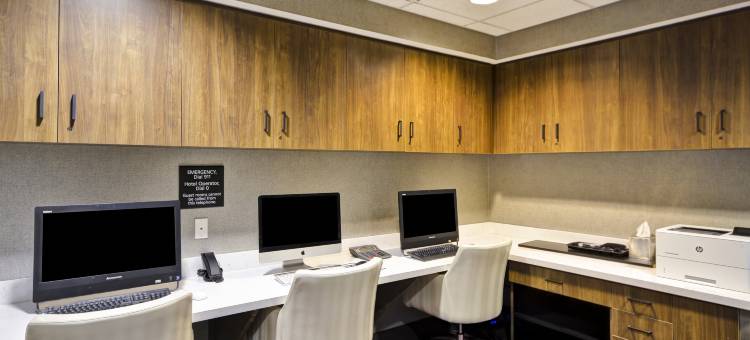 哥伦布伊斯顿区欢朋套房旅馆(Hampton Inn & Suites by Hilton Columbus-Easton Area)图片