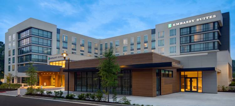 阿尔法利塔翡翠希尔顿安泊酒店(Embassy Suites by Hilton Alpharetta Halcyon)图片