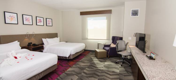 坦帕桑科斯特大道希尔顿花园酒店(Hilton Garden Inn Tampa Suncoast Parkway)图片