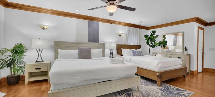 托斯卡纳梦想别墅 - 现在就询问夏日特别优惠(Tuscan Dreams Message Now for Summer Special)图片