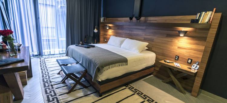 莱昂柯布艾琳娜酒店 - 设计酒店会员(Elena de Cobre, Leon, a Member of Design Hotels)图片