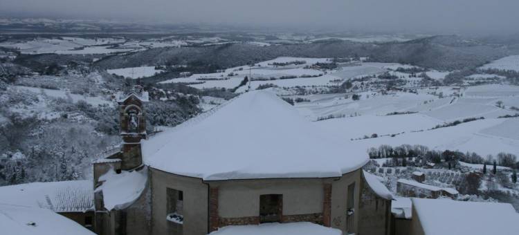 装修的刺猬(Meublé il Riccio)图片