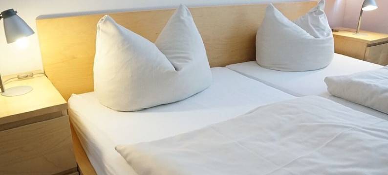 祖尔维尔德甘斯酒店(Restaurant Und Pension Zur Wildgans)图片