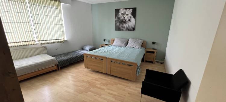 桑色散斯公寓(Apartments Zaanse Schans and Amsterdam)图片