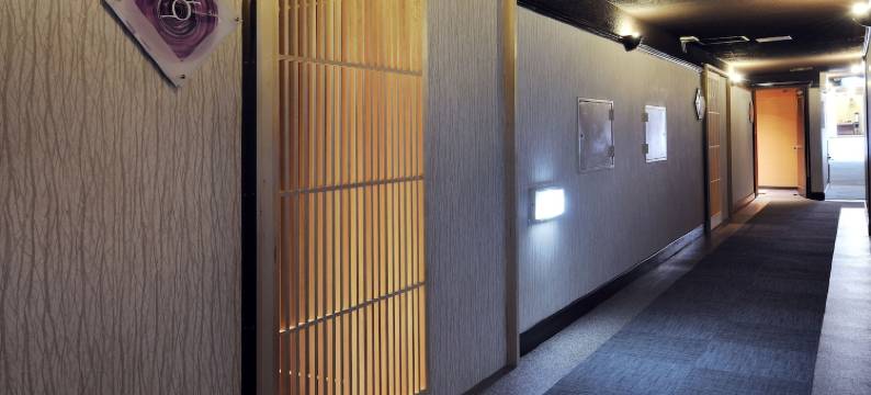 大阪青龙日式温泉旅馆-壮观景色(Hotel Seiryu Japanese Spa Inn with Spectacular View in Osaka)图片