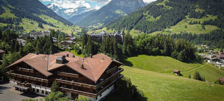 勒格朗夏莱特格施塔德酒店(Hotel le Grand Chalet Gstaad)图片