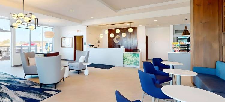 舒适酒店&套房US-60(Comfort Inn & Suites US-60)图片