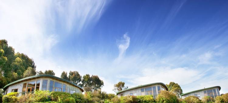 大洋路住宿飞镖酒店(The Boomerangs at Johanna on the Great Ocean Road)图片