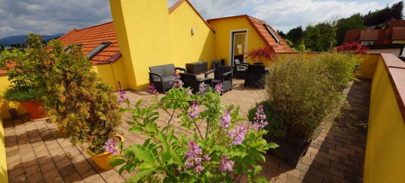 德尔马里恩霍夫贾尼酒店(Der Marienhof Hotel Garni)图片