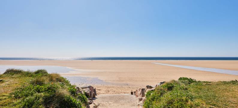 Super Octalia (Camping  )图片