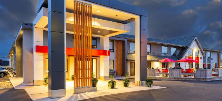 舒适酒店(Comfort Inn)图片