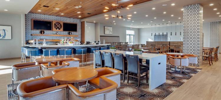 达拉斯理查森坎布里亚酒店(Cambria Hotel Richardson - Dallas)图片