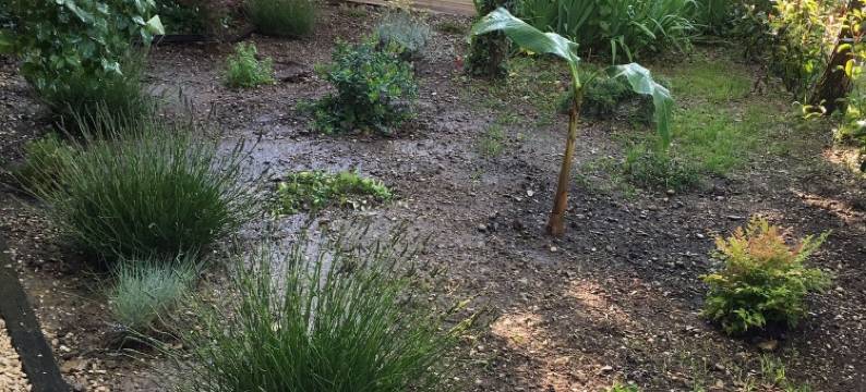 莱贾丁德塞利纳旅馆(Le Jardin de Celina)图片