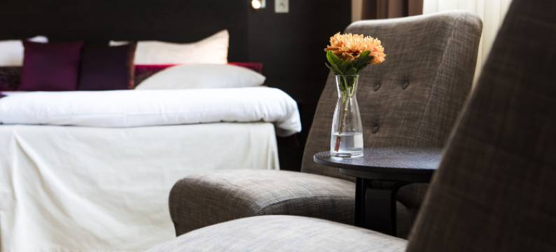 阿隆斯波会议中心酒店(Aronsborgs Konferenshotell)图片