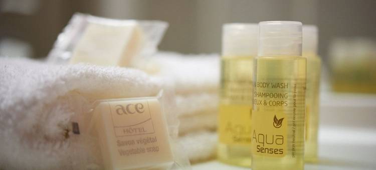 ACE酒店旅行阿西·苏·舍尔(Ace Hôtel Travel Athée Sur Cher)图片